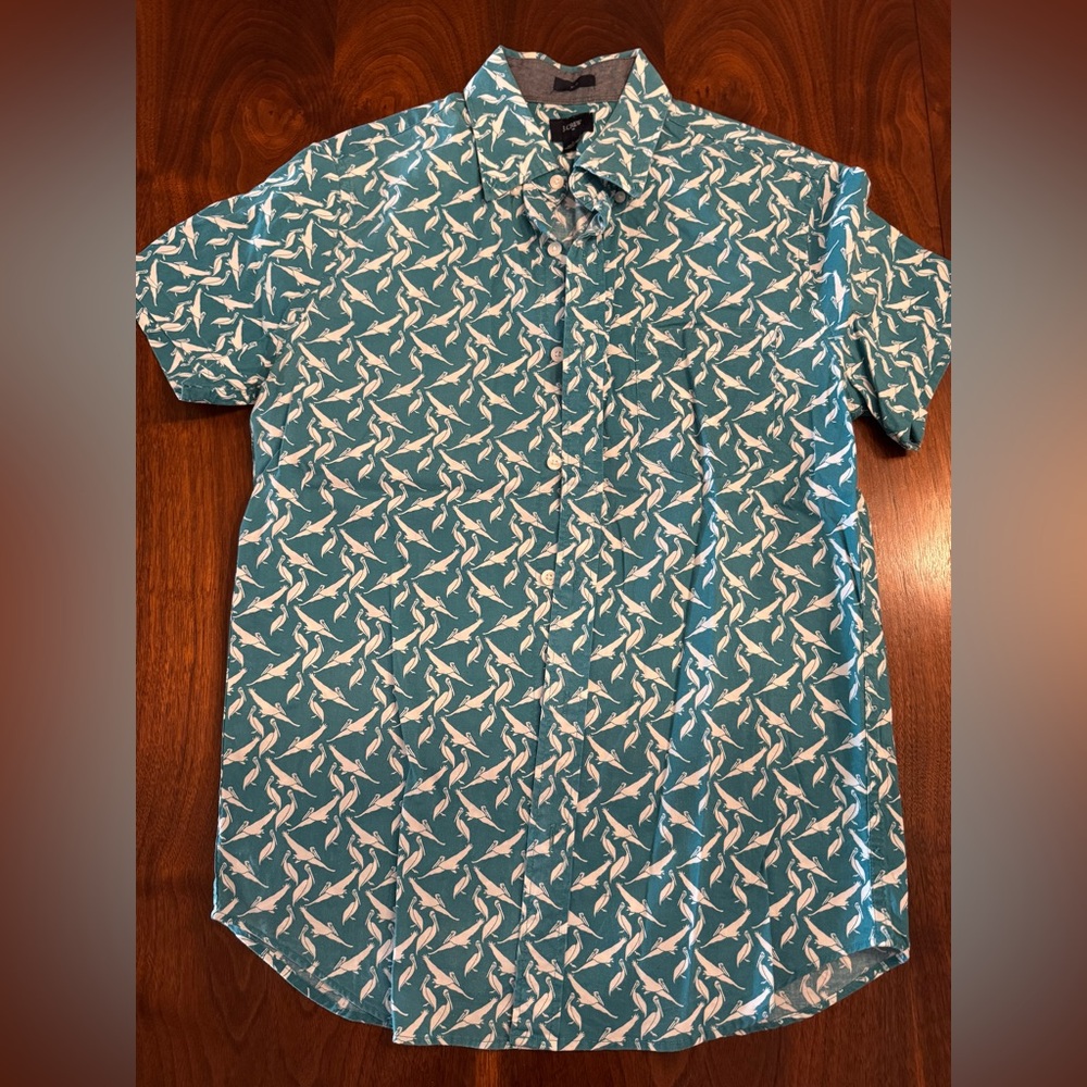 Jcrew pelican button down